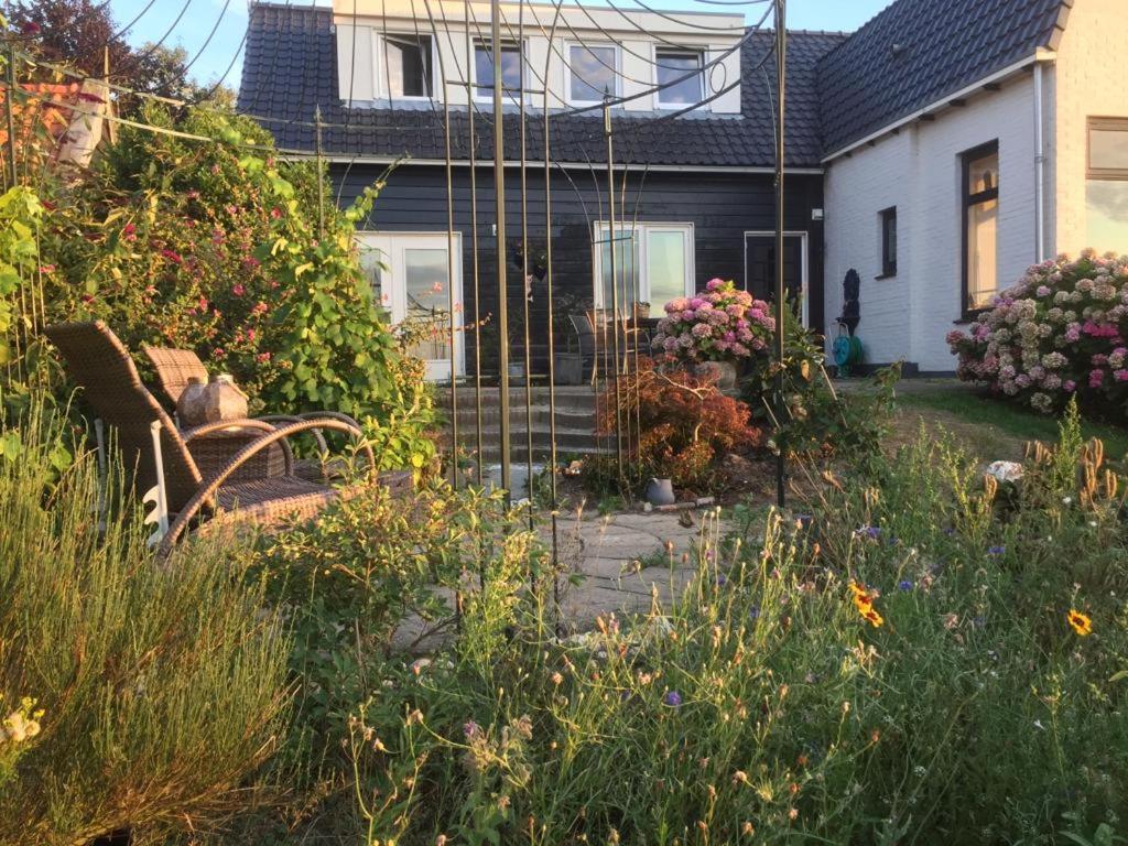 T Huuske Tuinappartement Met Fantastisch Uitzicht, Nabij Zee Zonnemaire Zewnętrze zdjęcie
