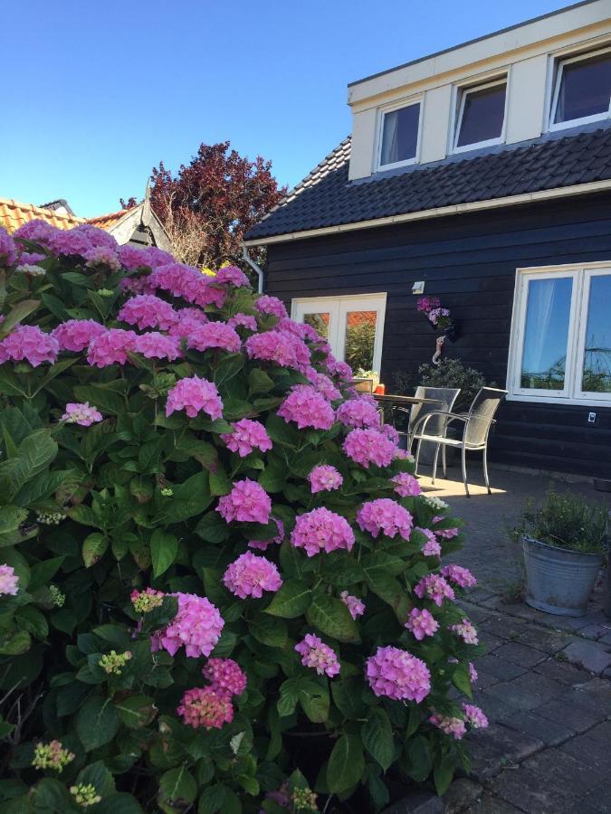 T Huuske Tuinappartement Met Fantastisch Uitzicht, Nabij Zee Zonnemaire Zewnętrze zdjęcie