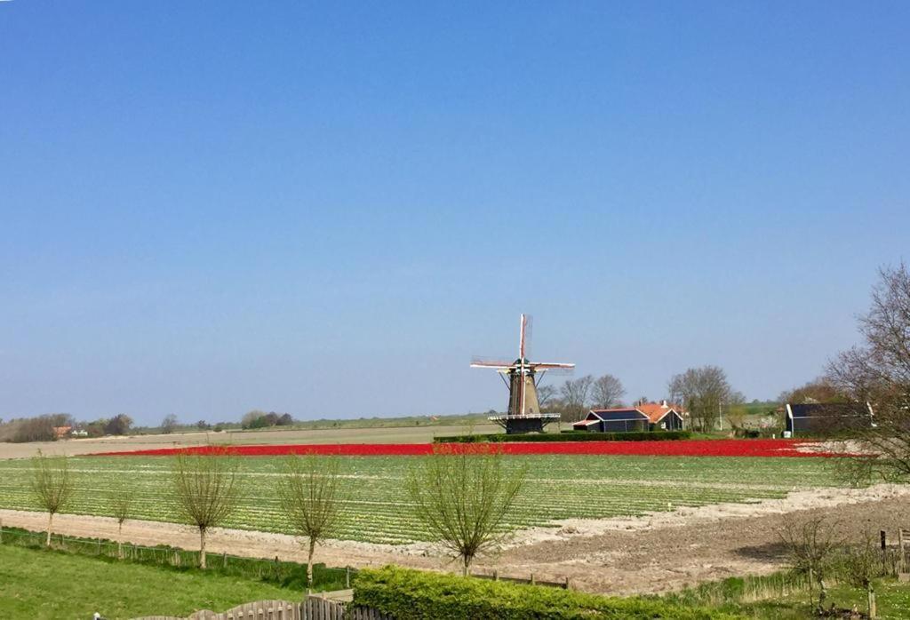 T Huuske Tuinappartement Met Fantastisch Uitzicht, Nabij Zee Zonnemaire Zewnętrze zdjęcie
