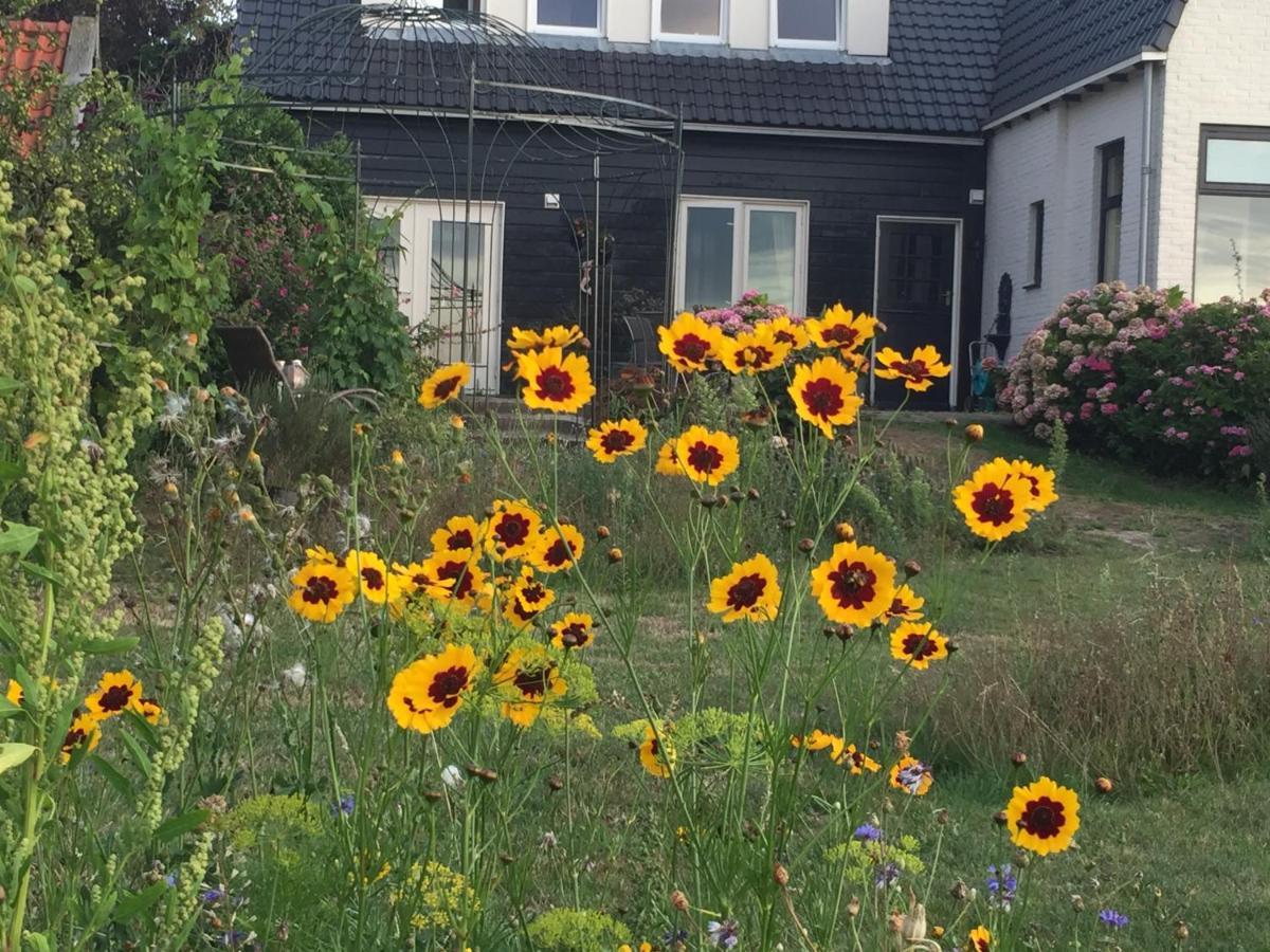 T Huuske Tuinappartement Met Fantastisch Uitzicht, Nabij Zee Zonnemaire Zewnętrze zdjęcie