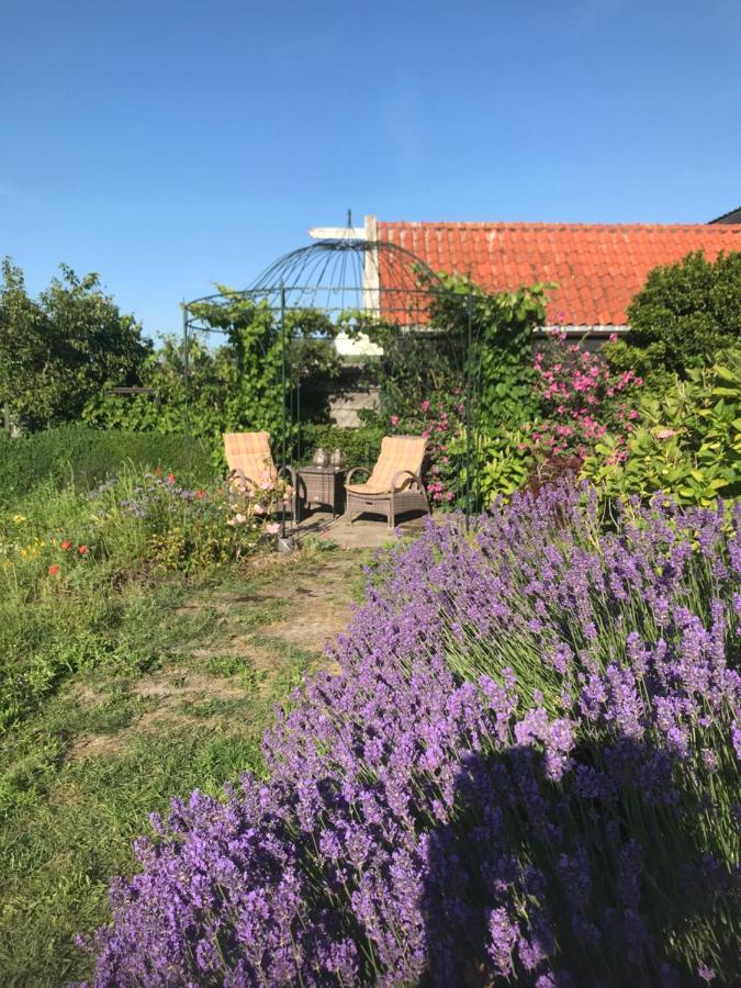 T Huuske Tuinappartement Met Fantastisch Uitzicht, Nabij Zee Zonnemaire Zewnętrze zdjęcie